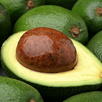 avocado-cut
